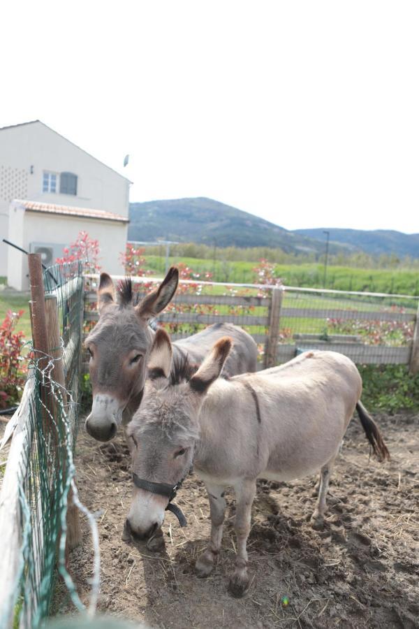 Вилла Agriturismo I Casali Fiumaretta di Ameglia Экстерьер фото